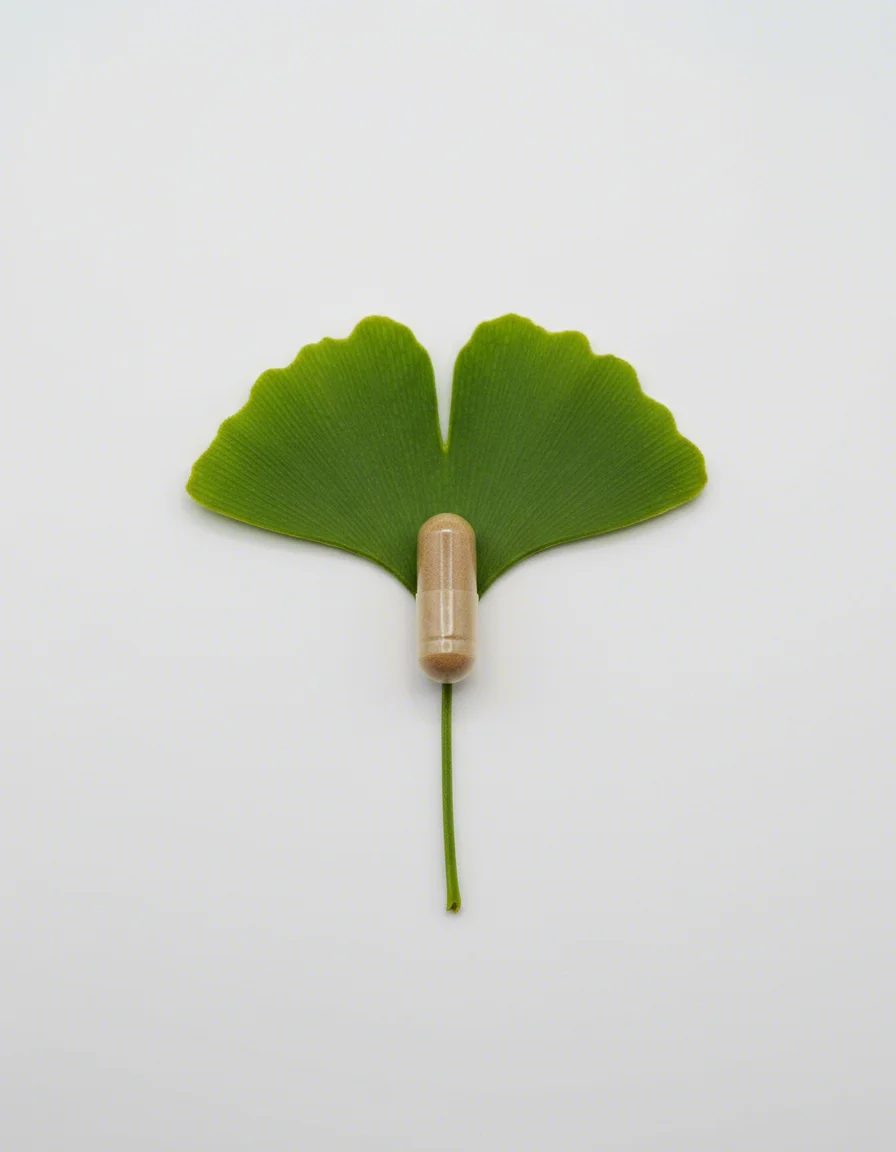 Ginkgo Biloba