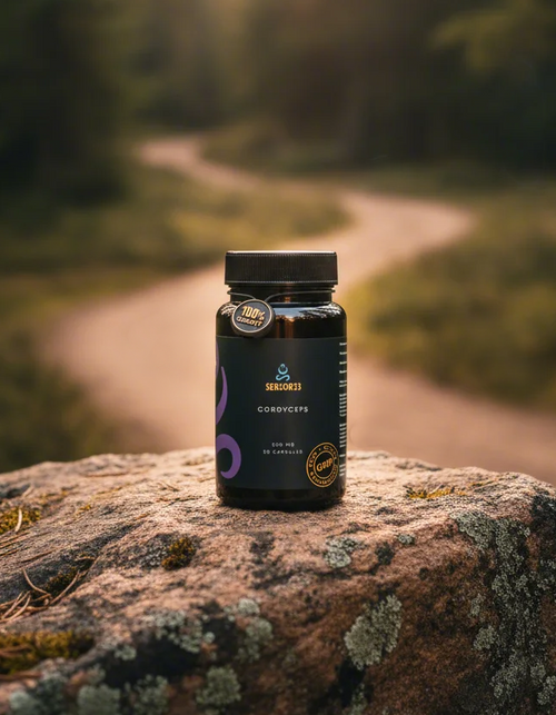 Cordyceps